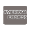 American Express logo payment